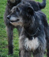 /album/fotogalerie-uvod/dsc-0412-2-jpg1/